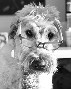 Nash_1 Nash Nott