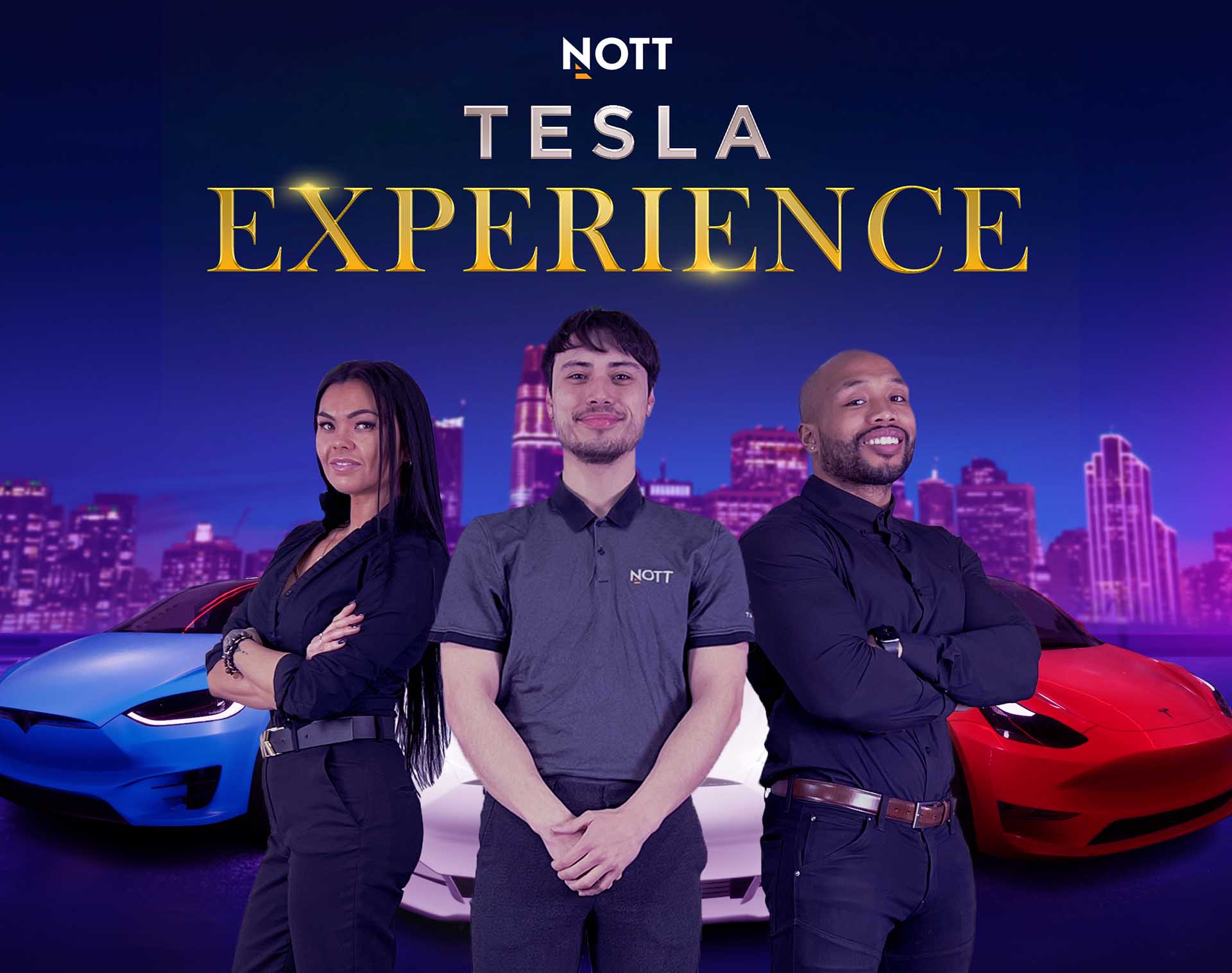Tesla Professionals