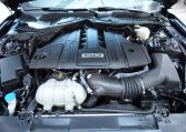 2022 FORD MUSTANG GT PREMIUM 2022 Ford Mustang GT Premium/5.0L V-8/ 460 HP/ Low KM’s/ No Accidents/ One Owner/ 2 Keys