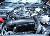 2024 FORD MUSTANG ECOBOOST PREMIUM One Owner | Local MB Vehicle | No Accidents