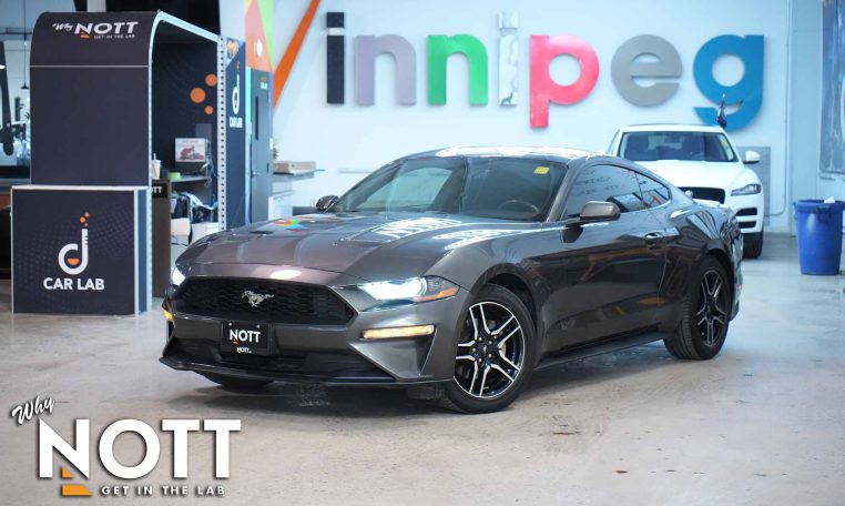 2019 FORD MUSTANG