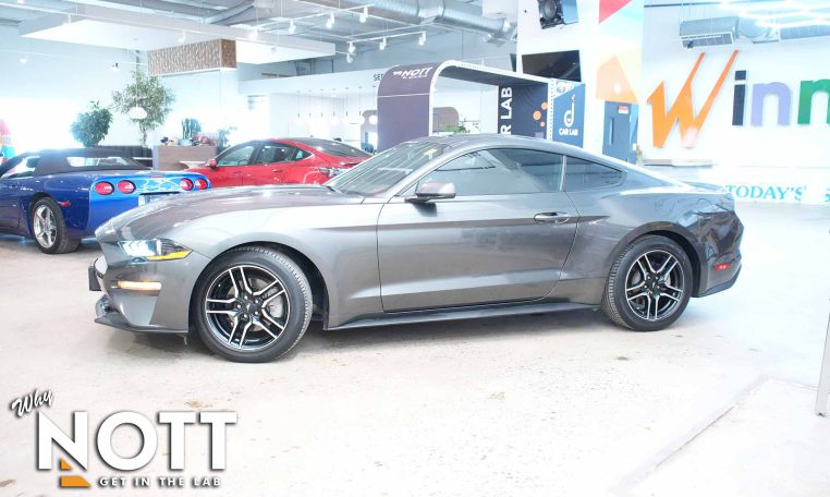 2019 FORD MUSTANG