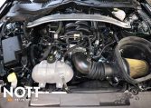 2019 FORD MUSTANG Bullitt