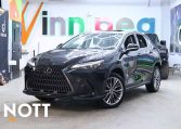 2022 LEXUS NX    NX 350 | No Accidents