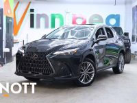 2022 LEXUS NX NX 350 | No Accidents