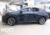 2022 LEXUS NX    NX 350 | No Accidents