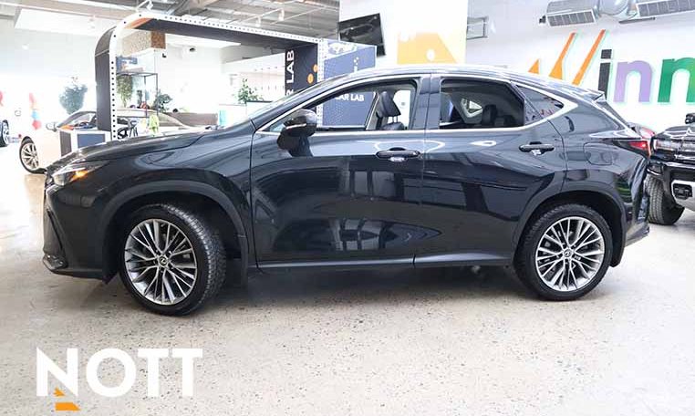 2022 LEXUS NX    NX 350 | No Accidents