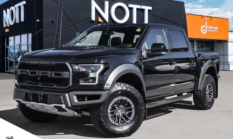2019 FORD F-150 RAPTOR | Fox Shocks Rebuilt | Timing Chain Replaced