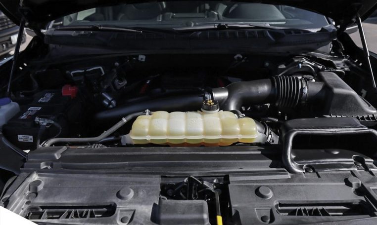 2019 FORD F-150 RAPTOR | Fox Shocks Rebuilt | Timing Chain Replaced