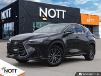 2023 LEXUS NX NX 250