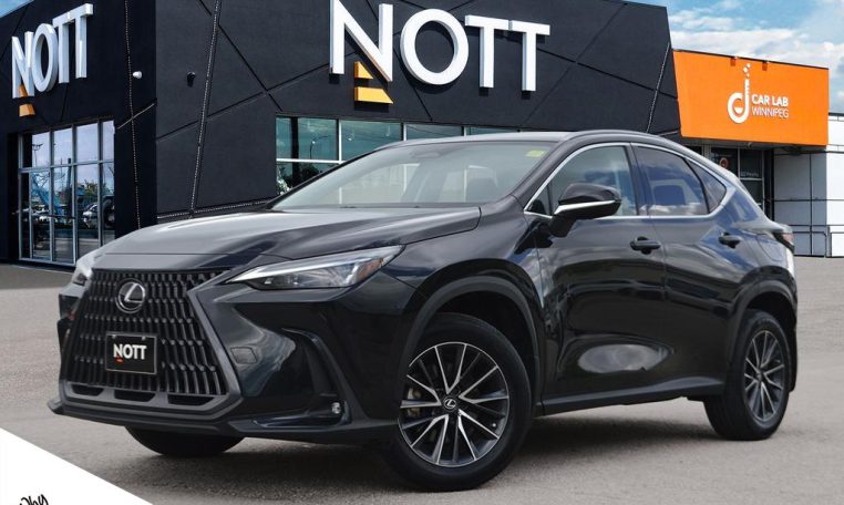 2023 LEXUS NX    NX 250
