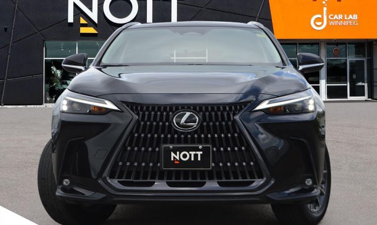2023 LEXUS NX    NX 250