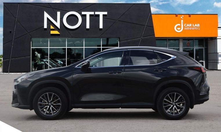 2023 LEXUS NX    NX 250