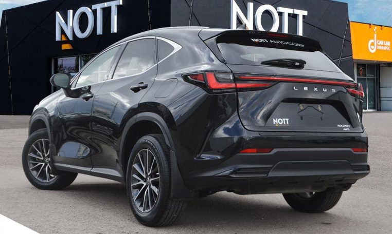 2023 LEXUS NX    NX 250