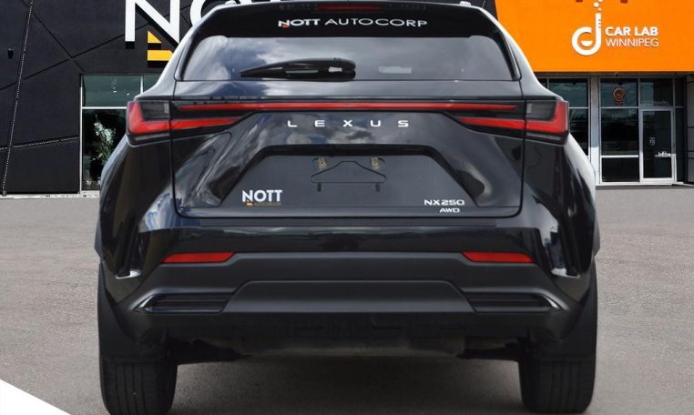 2023 LEXUS NX    NX 250