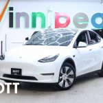 2020 TESLA MODEL Y LONG RANGE | Dual Motor