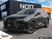 2022 LEXUS NX 250