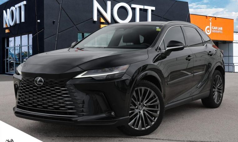 2024 LEXUS RX  RX 350H | EXECUTIVE | NO ACCIDENTS | WINTER TIRE PACKAGE INCLUDED