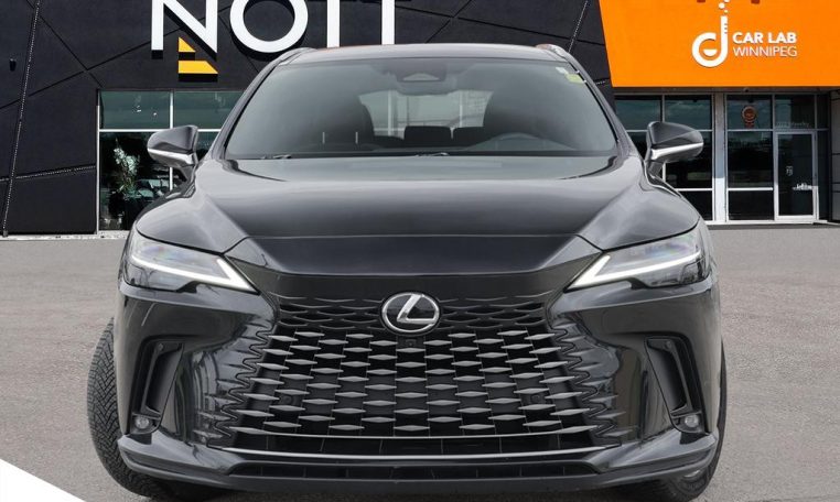 2024 LEXUS RX  RX 350H | EXECUTIVE | NO ACCIDENTS | WINTER TIRE PACKAGE INCLUDED