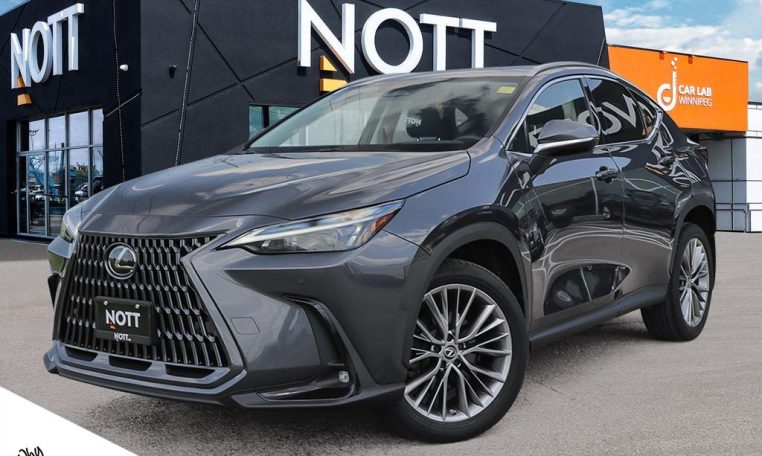 2022 LEXUS NX    350