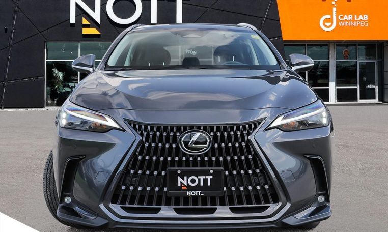 2022 LEXUS NX    350