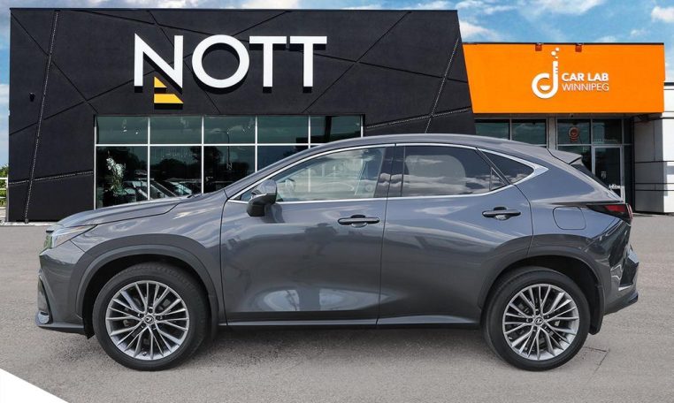 2022 LEXUS NX    350
