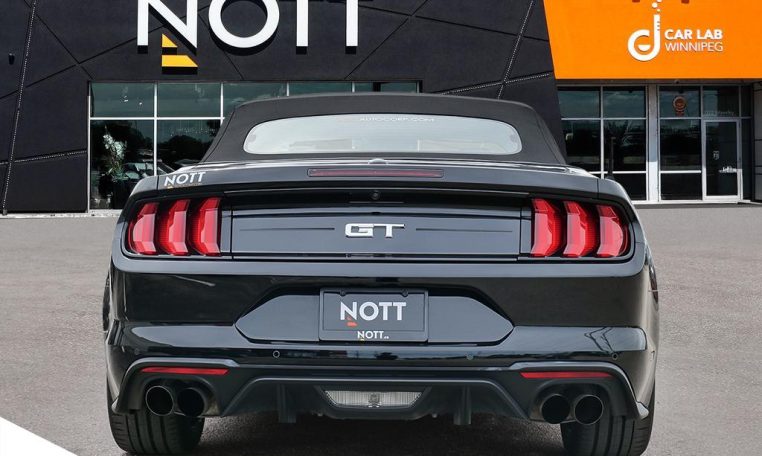 2021 FORD MUSTANG GT PREMIUM | No Accidents | Manual