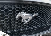 2021 FORD MUSTANG GT PREMIUM | No Accidents | Manual