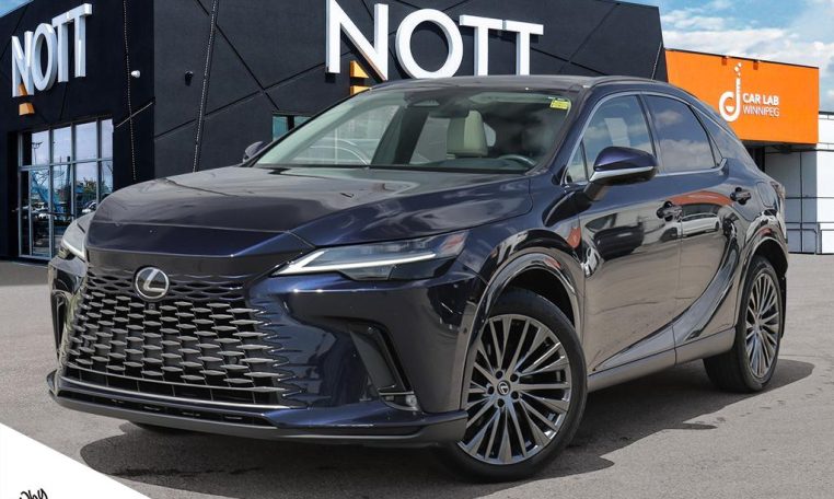 2023 LEXUS RX  350 | EXECUTIVE | NO ACCIDENTS