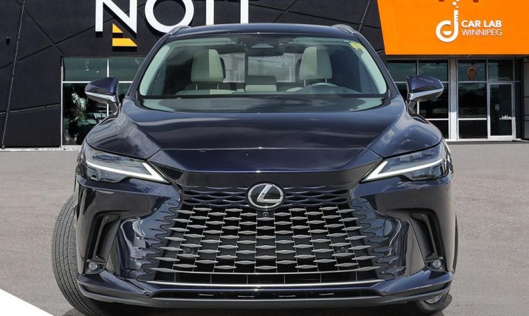 2023 LEXUS RX  350 | EXECUTIVE | NO ACCIDENTS