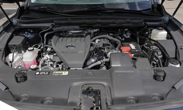 2023 LEXUS RX  350 | EXECUTIVE | NO ACCIDENTS