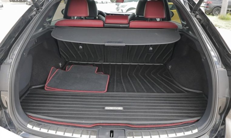 2024 LEXUS RX  350 | F SPORT 1