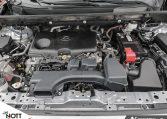 2024 TOYOTA RAV-4 LE