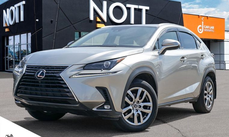 2021 LEXUS NX    300