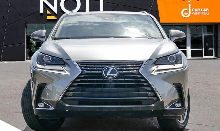2021 LEXUS NX    300